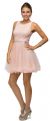 Floral Bust Babydoll Short Tulle Homecoming Party Dress in Blush